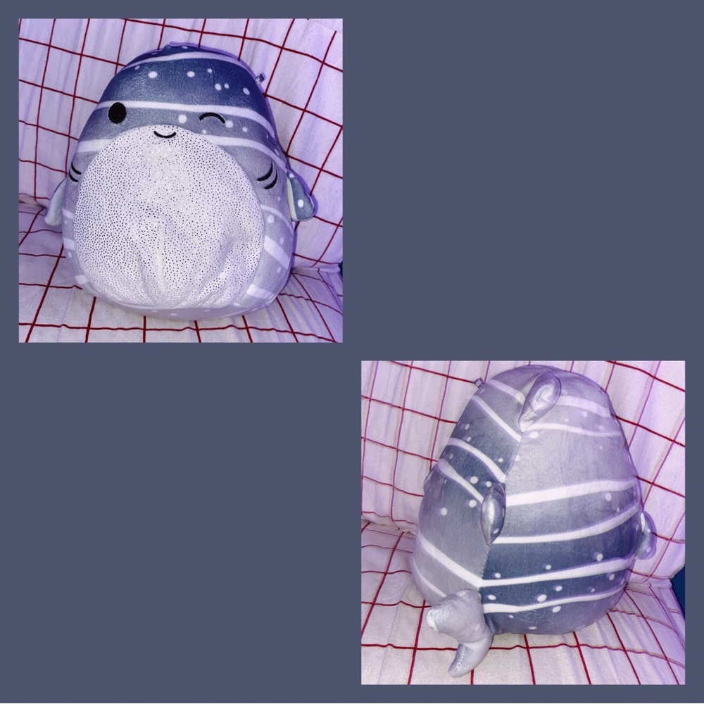 Sachie the Whale Shark Squishmallow